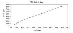 Eurofins DiscoverX FAK Protein, Active 250 &mu;g | Buy Online | Eurofins DiscoverX | Fisher Scientific